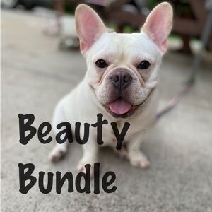 ✨LIVE SHOW LISTING✨